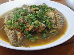 -全乐鱼馆·淳牌有机鱼直营店