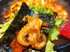 -红辣椒八爪鱼特色韩国料理
