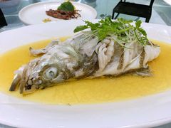 -新天禧大酒店·四十年浙菜·禧宴(西湖店)