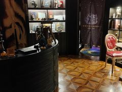 -雪灵魔法世界SHELLY’S TAROT(大良桂畔里店)