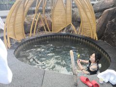 -长白山聚龙火山温泉