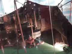 -四川大学博物馆