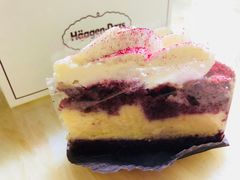 -哈根达斯(石家庄北国店)