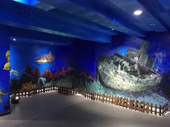 -船奇蒸汽海鲜·闽菜(八市海鲜总店)