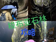 -梭布垭石林景区