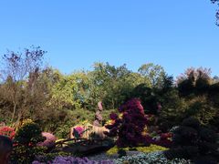 -杭州植物园