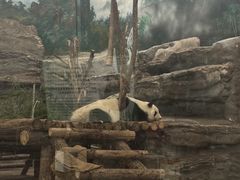 -鄂尔多斯野生动物园