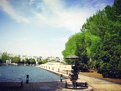 -北京国家会计学院