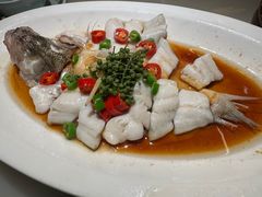 -客语客家菜(华发商都店)