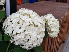 -方恒购物中心(望京小街店)