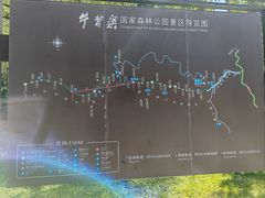 -牛背梁国家森林公园