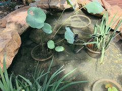 -花锦堂·隐庐