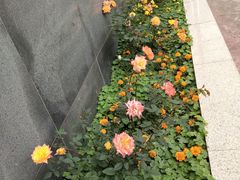 -横店广州街·香港街