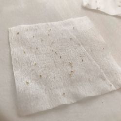 -SKIN·K肌肤唤醒中心