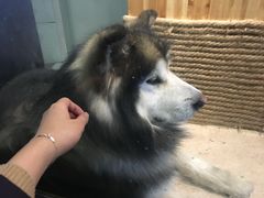 -上海天地软件园