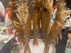 -海月轩海鲜豆捞(紫金塔店)