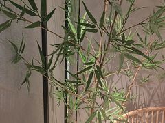 -绿茶餐厅(青岛城阳万象汇店)