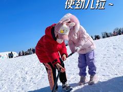 -绿野森林乐园冰雪季