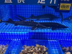 -悦海·家宴·冰花皮皮虾大锅贴(宝龙店)