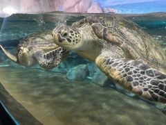 -福州罗源湾海洋世界旅游区