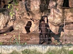 -清迈夜间动物园