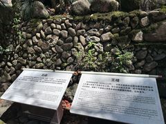 -古堰画乡景区