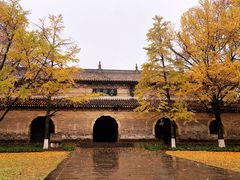 -灵谷景区