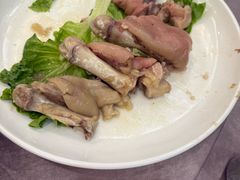 -丁老爷子苏香圆