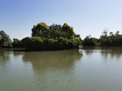 -大湾区中央湿地公园