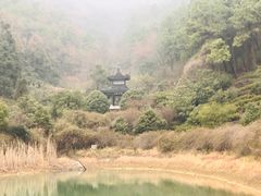 -九龙潭景区