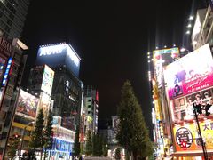 -秋叶原电器街