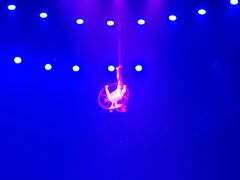 -珠海横琴长隆《卡卡虎奇遇记》