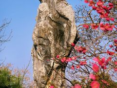 -无锡梅园公园