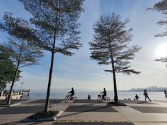 -深圳湾公园(南山区)