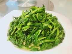 -皇朝尊会(龙之梦大酒店)