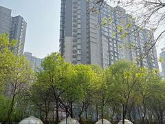 -海德温泉生活馆(朝阳大悦城店)