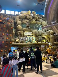 -卡通尼·Safari非洲探索乐园·生日会(金桥国际商业广场店)