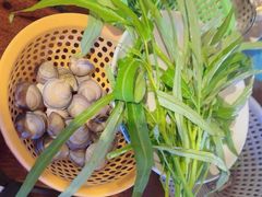 -渔家火锅·海鲜自助餐·演艺(亚龙湾天域酒店)