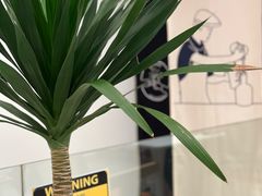 -Line 咖啡(石厦花园店)