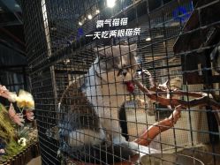 -酷嗒动物文化乐园(cutezoo西溪乐天城店)