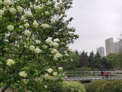 -白塘生态植物园