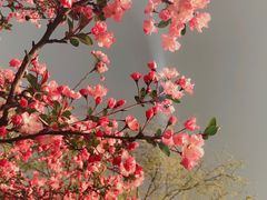 -苏州吴中太湖旅游区