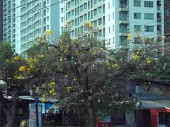 -唐人街(耀华力路)