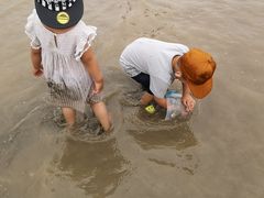 -南汇嘴观海公园