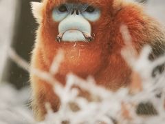 -中国湿地博物馆