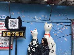 -猫咪博物馆(顶澳仔猫街店)