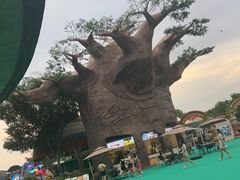 -苏州湾梦幻水世界