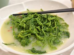 -五谷芳乳鸽王(海景店)