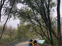 -西湖风景区-江洋畈生态公园