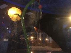 -青岛东方影都融创水世界